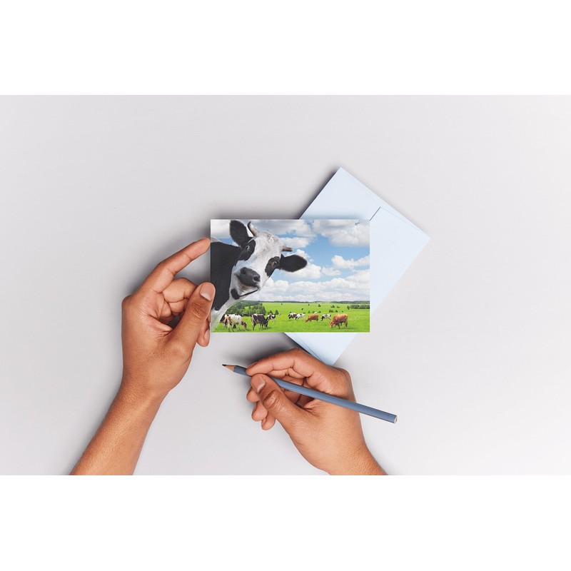 Edition Colibri Funny Cows 2 Postcards (10529)