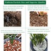 2 Quart Organic Perlite Horticultural Soil Amendment for Plants and