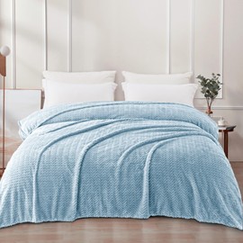 Exclusivo Mezcla Light Blue Fleece Twin Size Blanket for Bed, Super Soft Cozy Blankets with Decorative Wave Textured, Lightweight Plush Blanket All Season Use, 90x66 Inches