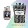 Prowinner Creatina 100 Pura Polvo Suplemento Alimenticio Por Porción Pre