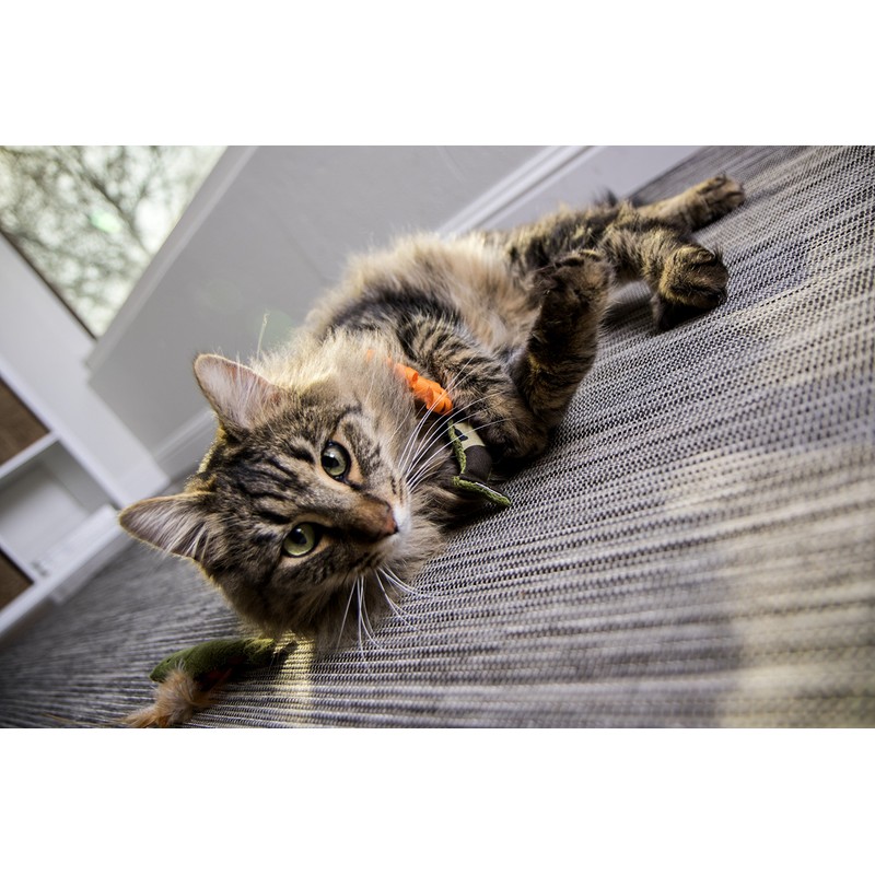 SmartyKat (3 Count Fish Friends Crinkle Catnip Cat Toys -