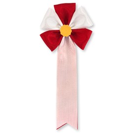 Insignia Ribbon Five Way Red Ceremony Chest Party Event Set of 10