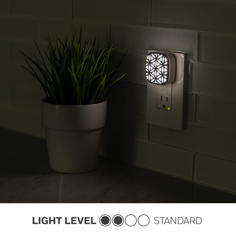 Lights by Night Decorative LED Night Light, Brushed Nickel Flower