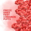 Fiery Cinnamon Puffs Freeze-Dried Candy – 1 LB (16 oz)
