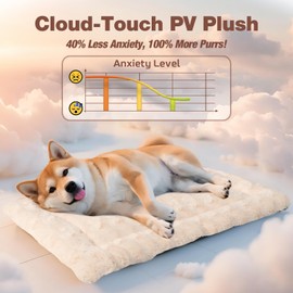 Mora Pets Cat Bed Rose Plush Pet Bed Anti Slip Dog Crate Pad Washable Kennel Mat for Small Medium Large Dog Puppy and Kitten 21 x 13 Inch Beige