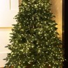 RESNICE LED Fairy String Lights 200FT 600 LEDs Outside Indoor