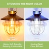 Sigalux Edison Bulbs, E26 LED Bulb ST58 Filament Clear Non-Dimmable