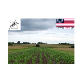 5 LB Pound Reid's Yellow Dent Field Corn Open Pollinated Non GMO Reids LBS USA by JL Missouri Parts