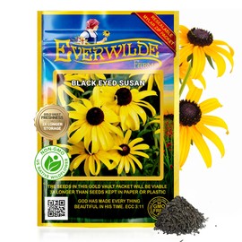 Everwilde Black Eyed Susan Seeds 1/4 lb – Vigorous Biennial Wildflowers – Butterfly & Pollinator Magnet – Ideal for Gardens, Meadows & Cut Flowers – Gold Vault Jumbo Packet