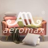 AM AEROMAX 20 ×20 Pillow Insert (Pack of 2) Memory