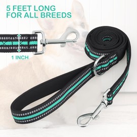 MoNiBloom 5 Feet Dog Leash Rope Heavy Duty Reflective Dog Leashes with 2 Comfortable Padded Traffic Handles for Walking and Training, Teal