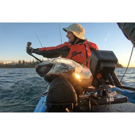 RAILBLAZA Camera Boom 600 R-Lock with Action Camera Adapter