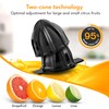 LEBENLANG Electric Citrus juicer - 2 cones & BPA-free I