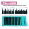 Extensiones De Pestañas 3d-8d W Profesional 0.07 Mm 8-15 Mm