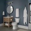 Delta Saylor (1-Pack) Wall Mounteded Pivot Arm Toilet Paper Holder