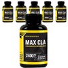 Primaforce Max CLA 2400mg softgel, 180 tablets, 6 units / 프리마포스 맥스 CLA 2400mg 소프트젤, 180정, 6개