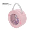 Flamingo Lamp Wall Mountable Double Sided Transparent Romantic Battery Powered