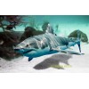 Four (4) Shark 3D lenticular postcard Florida Keys