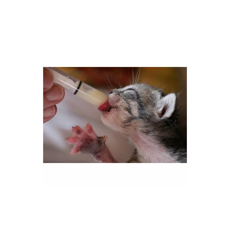 Medcare Products 10cc BASIK Feeding Reusable Syringe Silicone O-ring Slip