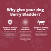 Buddy & Lola Berry Bladder | Advanced Bladder & Kidney