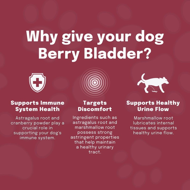 Buddy & Lola Berry Bladder | Advanced Bladder & Kidney