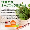 Midori no Chikara Sulforaphane Supplement, Broccoli Sprout, Moringa, Broccoli, 90