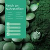 Algomed Spirulina Powder, Direct from the Algae Farm, 100% Spirulina