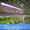 ENATECLITE 42W Hanging Plant Light for Indoor with Chain Switch