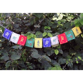 Mini Prayer Flag, Printed with Mantra 'Om Mani Padme Hung', 10 Flags, Band Length Approx. 90 cm, Handmade in Nepal, Fair Trade