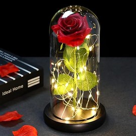 Kit de Rosas Flor Artificial con Luces led,Rosa Eterna en Cúpula de Acrílico con Base Plástico,Regalo de Rosa Artificiales para Mujeres para Día de Madre,Cumpleaños,Aniversario,San Valentín,Año Nuevo