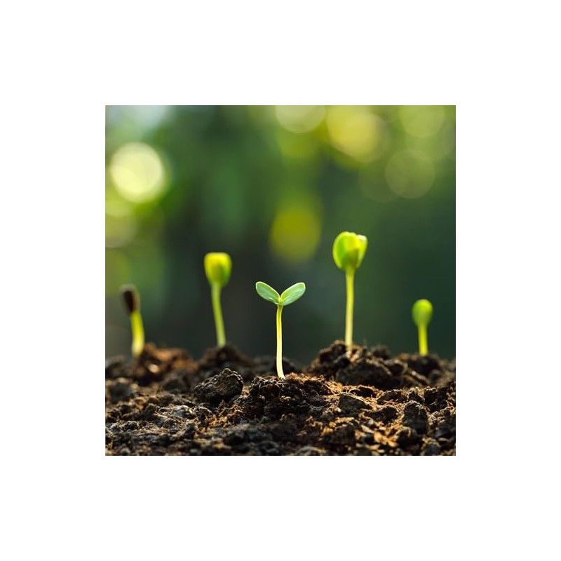 SuperMoss 01999 Agromin Organic Recycled Green Material Potting Mix, 4
