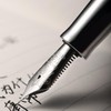 HONG DIAN D1 Piston Fountain Pen Extra Fine Nib, Hollow
