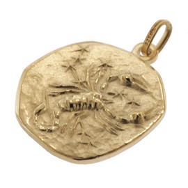 trendor 39070-11 Scorpio Zodiac Sign Diameter 20 mm Men's Necklace Gold on Silver Zodiac Sign Timeless Necklace for Men, Great Gift Idea, Gold, scorpio