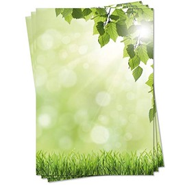LYSCO Design Letter Paper (Summer 5092, DIN A4, 25 Sheets) Green Meadow with Strong Fresh Leaves of a Birch in the Foreground
