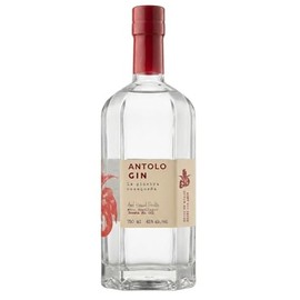 Antolo Gin - Ginebra Oaxaqueña 750 ml | Artesanal | Botánicos de Oaxaca | New Western Dry Gin | Filtración sobre Carbón de Encino