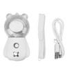 Nano Mist Sprayer Cute Bear Shape 300ML USB Humidifier Skin