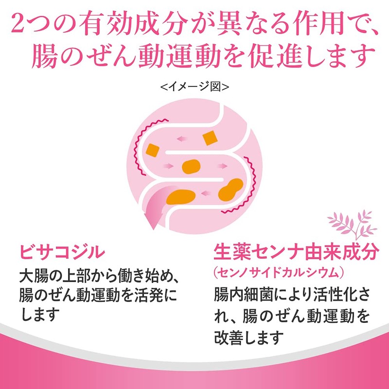 【指定第2類医薬品】スルーラックS 240錠