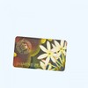 Kew Garden Q Garden Jasmine Peach Soap Q Garden Jasmine