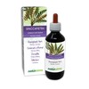 Spleen Fern (Ceterach officinarum or Asplenium ceterach) Leaves Alcohol-Free Mother