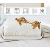 Turtle Stylish Ceramic Butter Dish Covered with Lid and Handle