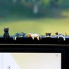 Cat Car Interior Accessories Dashboard Decorations, Set of 5 Cute