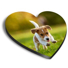 1 x Heart MDF Magnets - Jack Russell Terrier Puppy 12576
