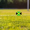 25 Pack Jamaica Small Flag, Hand Held Jamaican Stick Flag