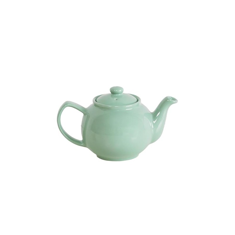 Pastel Mint Green 2 Cup Stoneware Teapot 450ml Eclectic Cafe