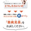 脱ぽっこり 1包に60億個 植物性ナノ型乳酸菌配合 ほうじ茶やプーアル茶と16種の自然植物 楽爽美茶 30包入