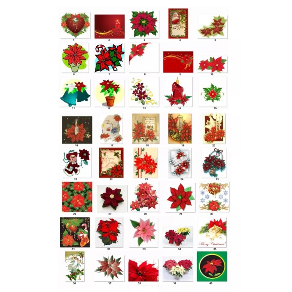 Premium Labels 30 Personalized Return Address Labels Christmas Poinsettia Buy3