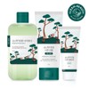 ROUND LAB For Men Pine Calming Toner/Cream Set (+Cleanser 40mL)