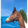 Equipride Braided Headcollar Lead Rope Set Size Full-Shetland (Pony, Royal