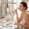 MOTIBACK 3 Piece Makeup Brush Set for Face and Eye