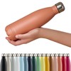 Blumtal® Charles Stainless Steel Drinking Bottle, Thermos Flask, 500 ml,